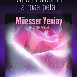 Müesser Yeniay - When I slept in a rose petal