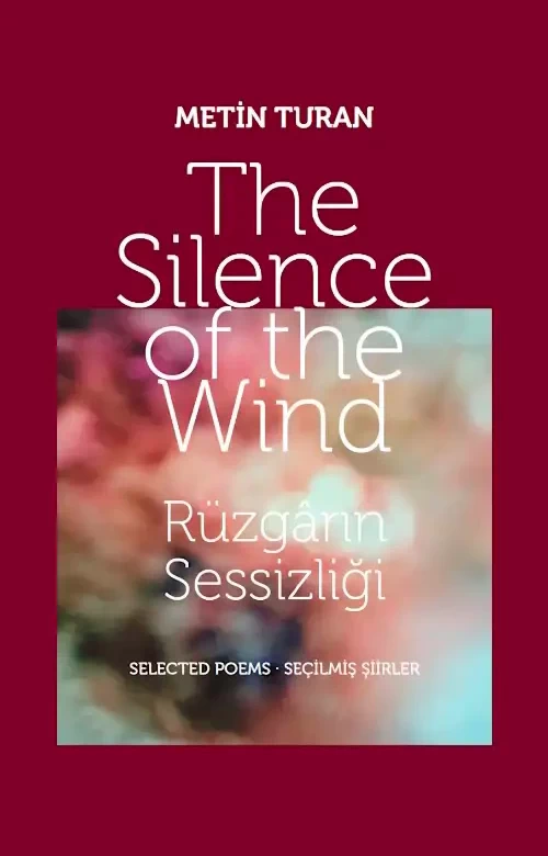 Metin Turan - The Silence of the Wind